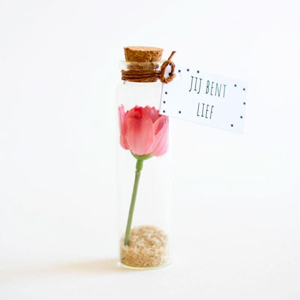 Blume, du bist süß