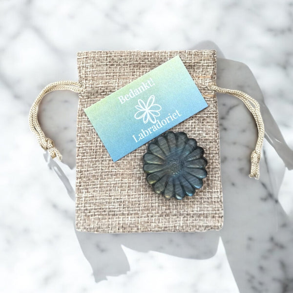 Labradoritblume, danke