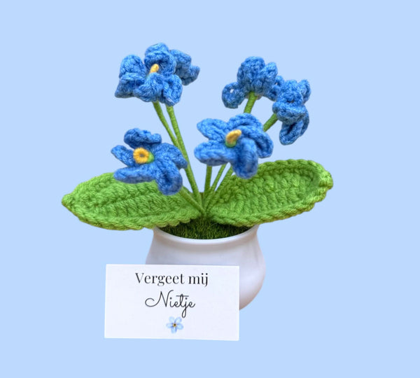 Vergissmeinnicht im Glas