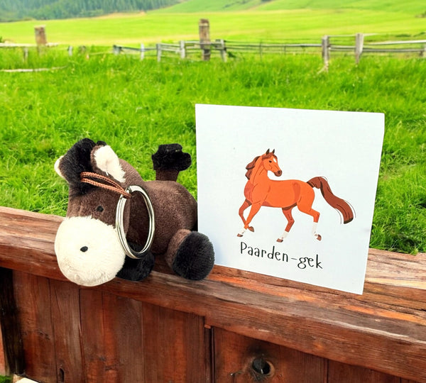 Schlüsselanhänger Pferd verrückt nach Pferden