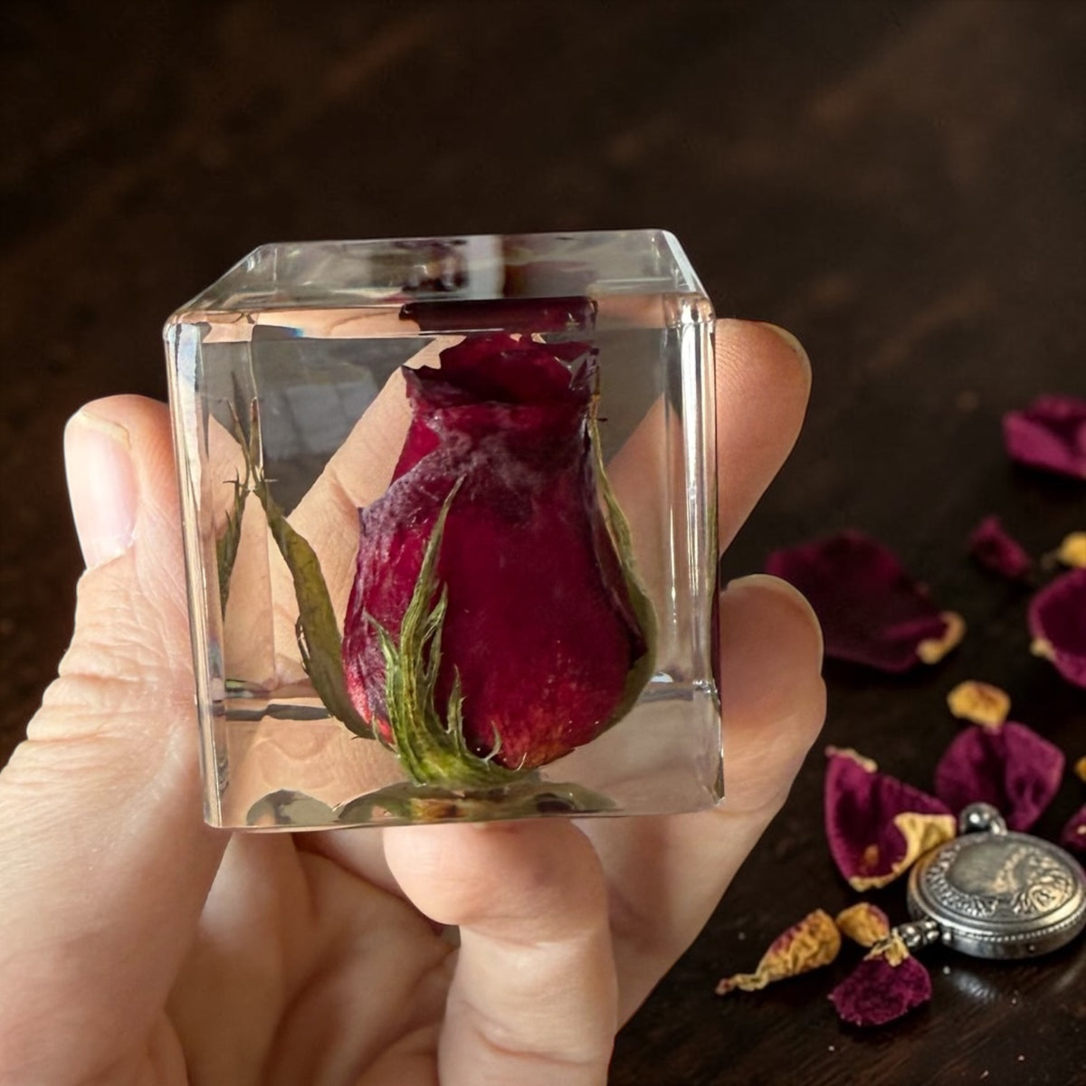 Roos in plexi glas