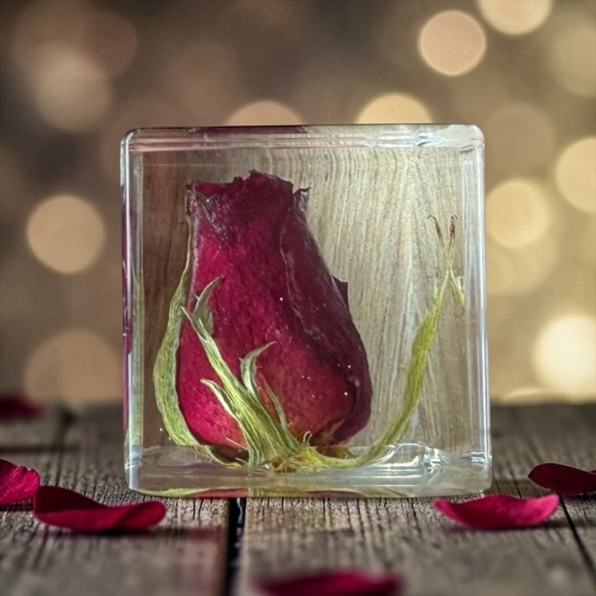 Roos in plexi glas
