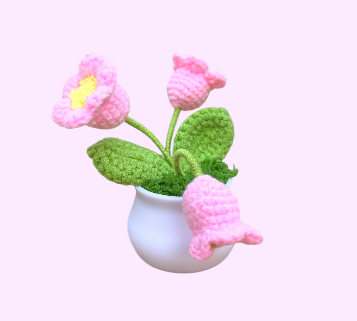 Rosa Blume im Topf