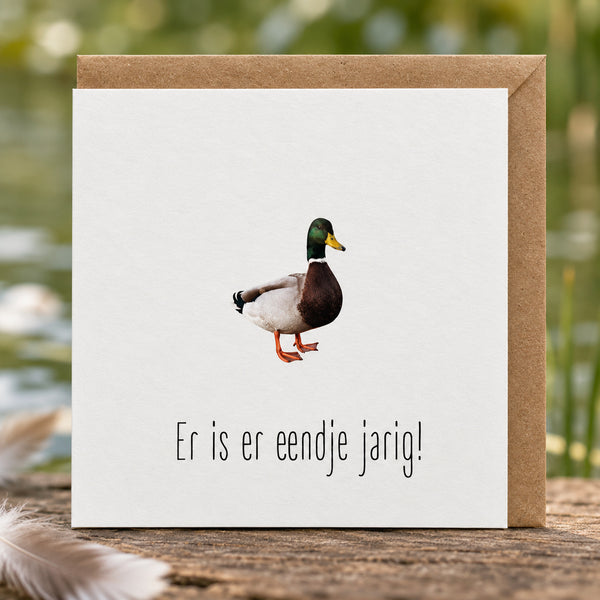 NAT-104 – Er is er eentje jarig!