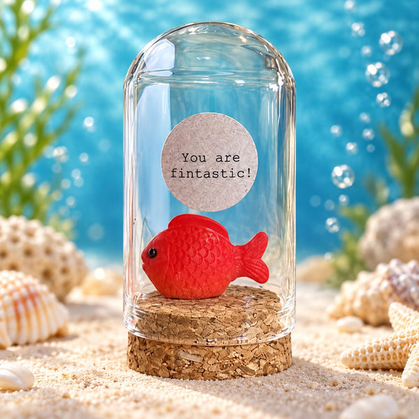 You are fintastic – stolpje